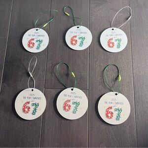Homemade set of 6 - 67 Trendy 2025 Ornaments